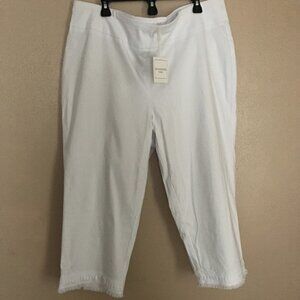 ZAC and RACHEL Pants Size: 20 Wide #4562